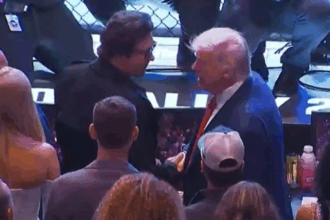 Donald Trump berjabat tangan dengan penonton di acara UFC 316 di tepi oktagon